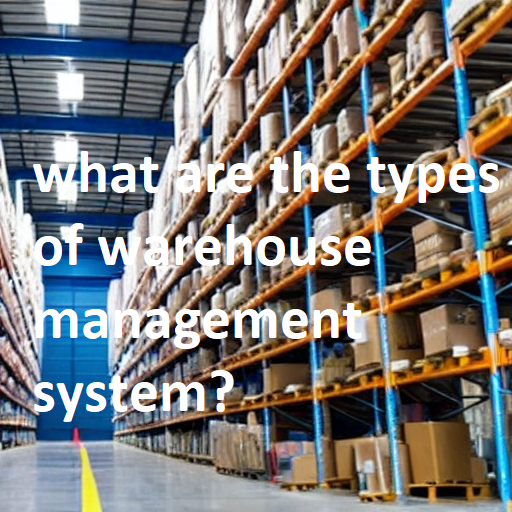 what are the types of warehouse management system?