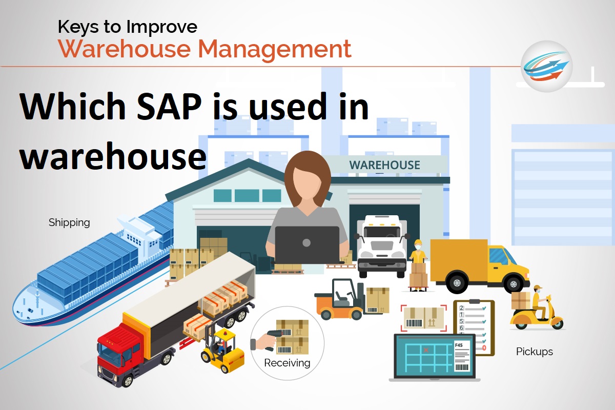 Which-SAP-is -used-in-warehouse