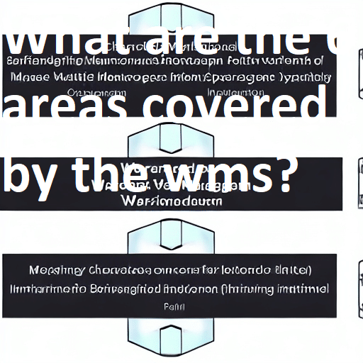 what_are_the_6_areas_covered_by_the_wms